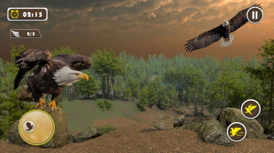 宠物美国鹰生活模拟3D图2