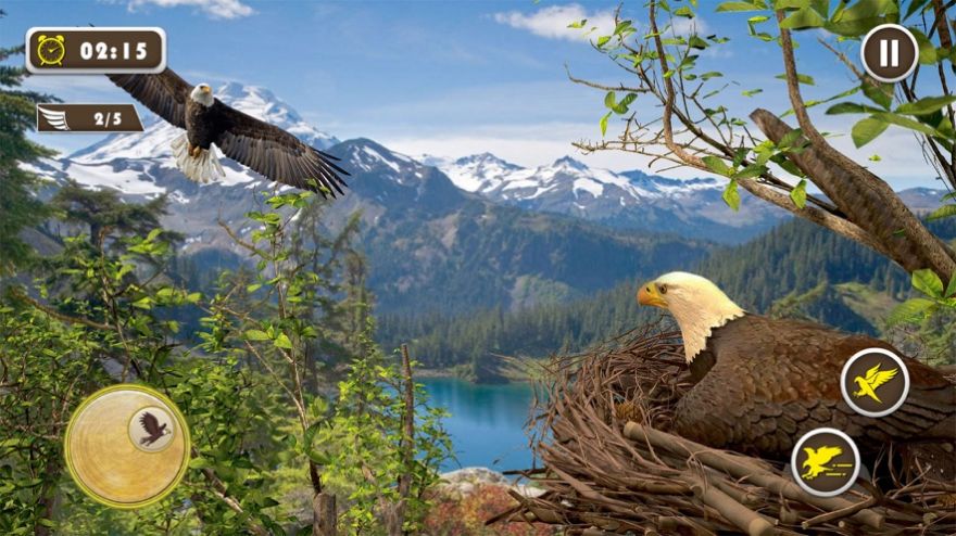 宠物美国鹰生活模拟3D图3